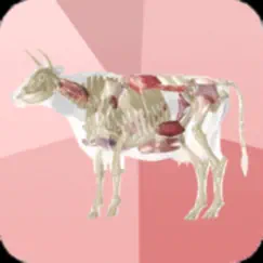 Beef Cuts 3D app reviews