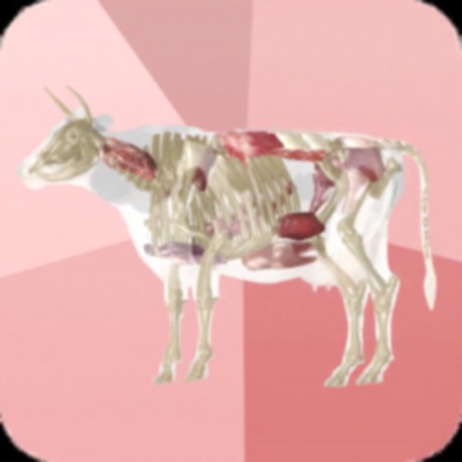 Beef Cuts 3D app reviews download