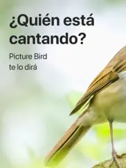 picture bird - reconocer aves ipad capturas de pantalla 1