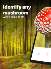 picture mushroom: fungi finder ipad images 1