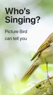 picture bird: birds identifier iphone images 1