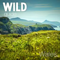 wild guide wales-rezension, bewertung