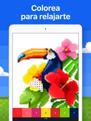 pixel art - juegos de pintar ipad capturas de pantalla 1