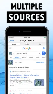image search app iphone resimleri 2