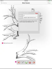 anatomy atlas iPad Captures Décran 3