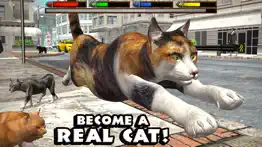 ultimate cat simulator iphone resimleri 1