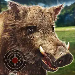 wild boar target shooting logo, reviews