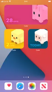 cube period tracker iPhone Captures Décran 3
