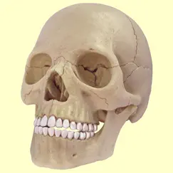 human skeletal system trivia logo, reviews
