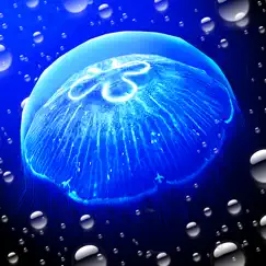 jellyfishgo - appreciation logo, reviews
