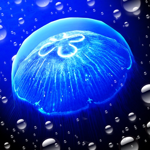 JellyfishGO - Appreciation app reviews download