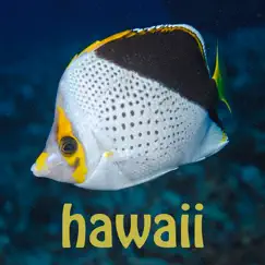 scuba fish hawaii logo, reviews