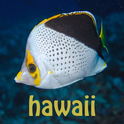 Scuba Fish Hawaii app reviews download