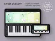 pads - lush pad synthesizer ipad capturas de pantalla 1