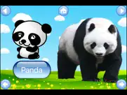zoo animals my first english learning flash cards ipad images 2