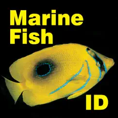 marine fish maldives logo, reviews