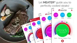 meater® smart meat thermometer iphone images 3