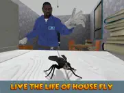 house fly insect survival simulator ipad images 1