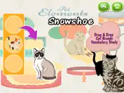 cats and kittens shadow matching game ipad images 1