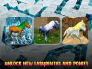 little pony maze runner simulator ipad images 3