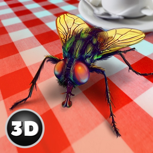House Fly Insect Survival Simulator app reviews download