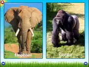 zoo sounds lite - a fun animal sound game for kids ipad images 1