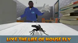 house fly insect survival simulator iphone images 1