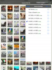 batchresizer - quickly resize multiple photos ipad images 3