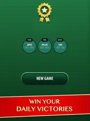 solitaire - classic klondike card games ipad images 3