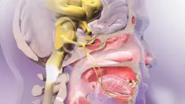 physiology animations iPhone Captures Décran 3