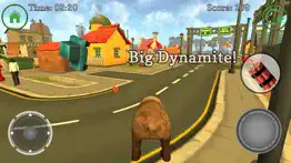 bear on the run simulator iphone images 4