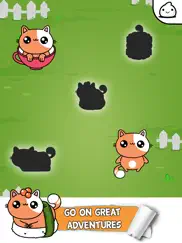 kitty cat evolution game ipad images 1