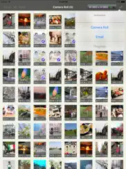 batchresizer - quickly resize multiple photos ipad images 4