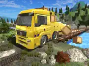 truck driver extreme 3d ipad images 2