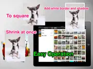 batchresizer - quickly resize multiple photos ipad images 1