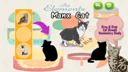 cats and kittens shadow matching game iphone images 2