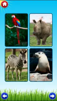 zoo sounds lite - a fun animal sound game for kids iphone images 2