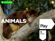 abc animals - your alphabet letters mini adventure ipad images 1