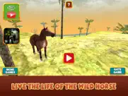 wild mustang horse survival simulator ipad images 1