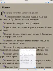 Библия (текст и аудио)(audio)(russian bible) айпад изображения 3