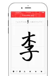 chinese dictionary pro pinyin radical idiom poetry ipad images 4