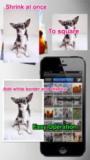 batchresizer - quickly resize multiple photos iphone images 1
