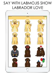 labmojis - labrador retriever emoji & stickers ipad images 3