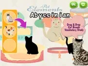 cats and kittens shadow matching game ipad images 2