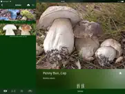 mushroom guide british isles ipad images 3