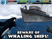 orca simulator ipad images 3