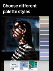 palette republic ipad capturas de pantalla 2