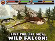 falcon simulator ipad images 1