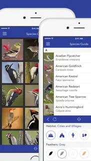 iknow birds lite - usa iphone capturas de pantalla 2