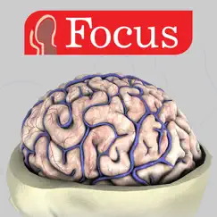 neuroanatomy - digital anatomy logo, reviews